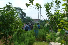 P1090417