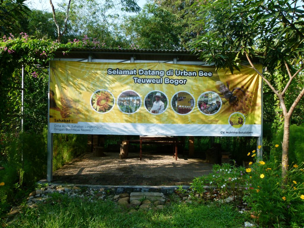 P1080837