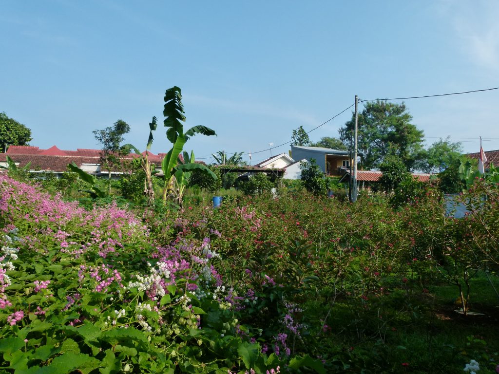 P1080839