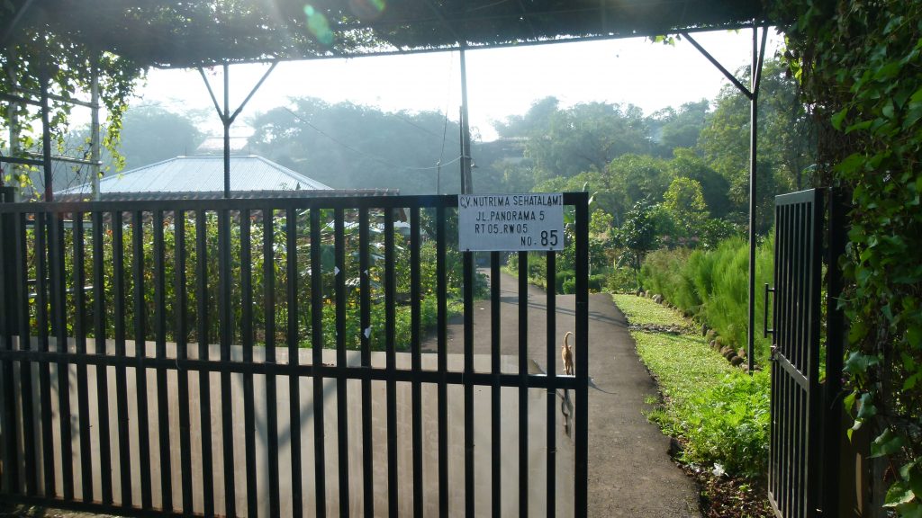 P1080866