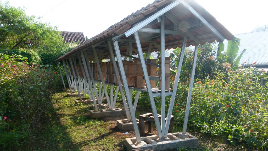 P1080868