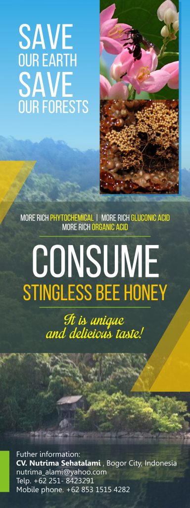Stingless Bee