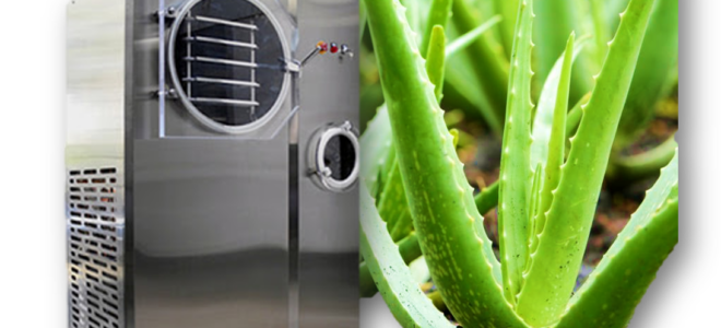 Aloe 3 Aloe 3