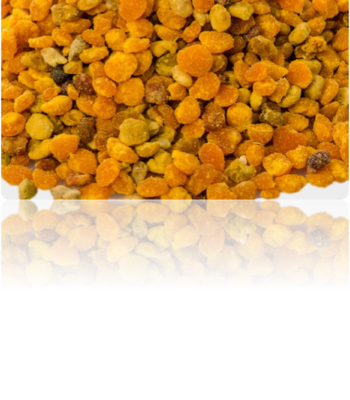 Bee Pollen Bee Pollen