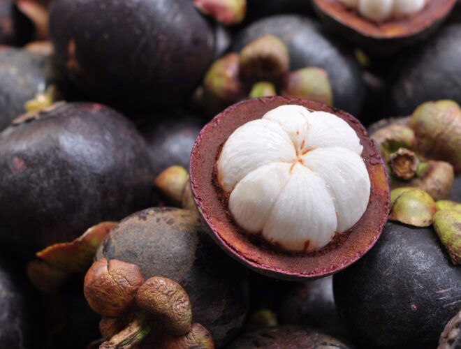 Garcinia Mangostana Garcinia Mangostana