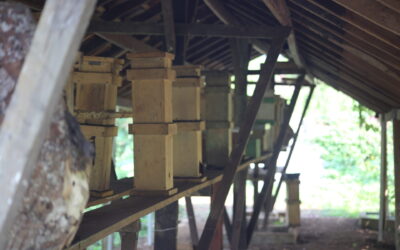 Konten Gallery (8)